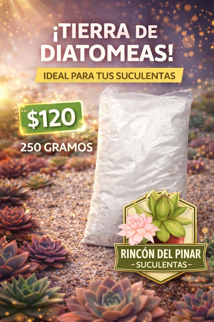 Bolsa de tierra de diatomeas