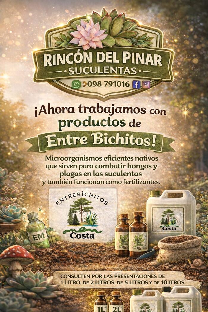 Productos Entre Bichitos Costa