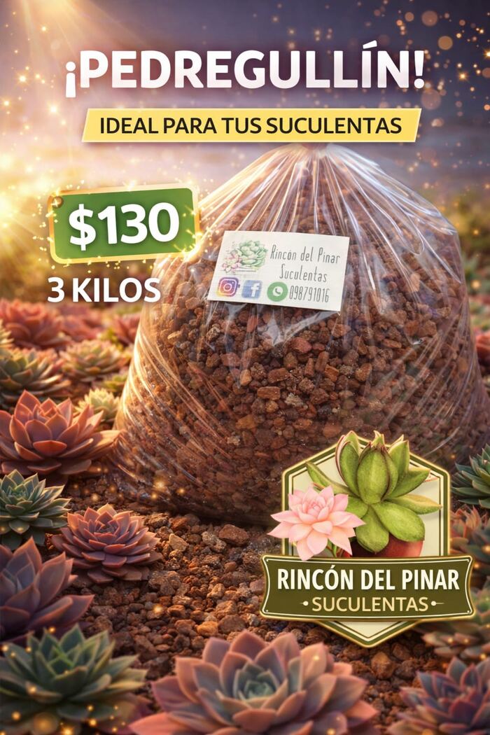 Bolsa de pedregullín