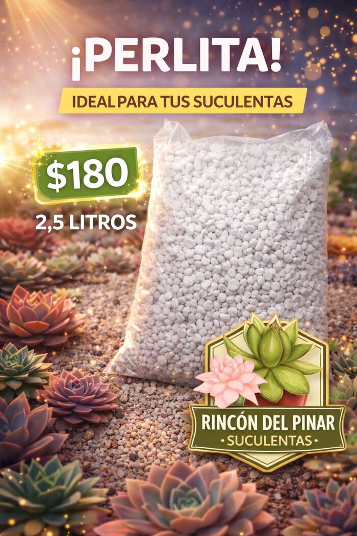 Bolsa de perlita